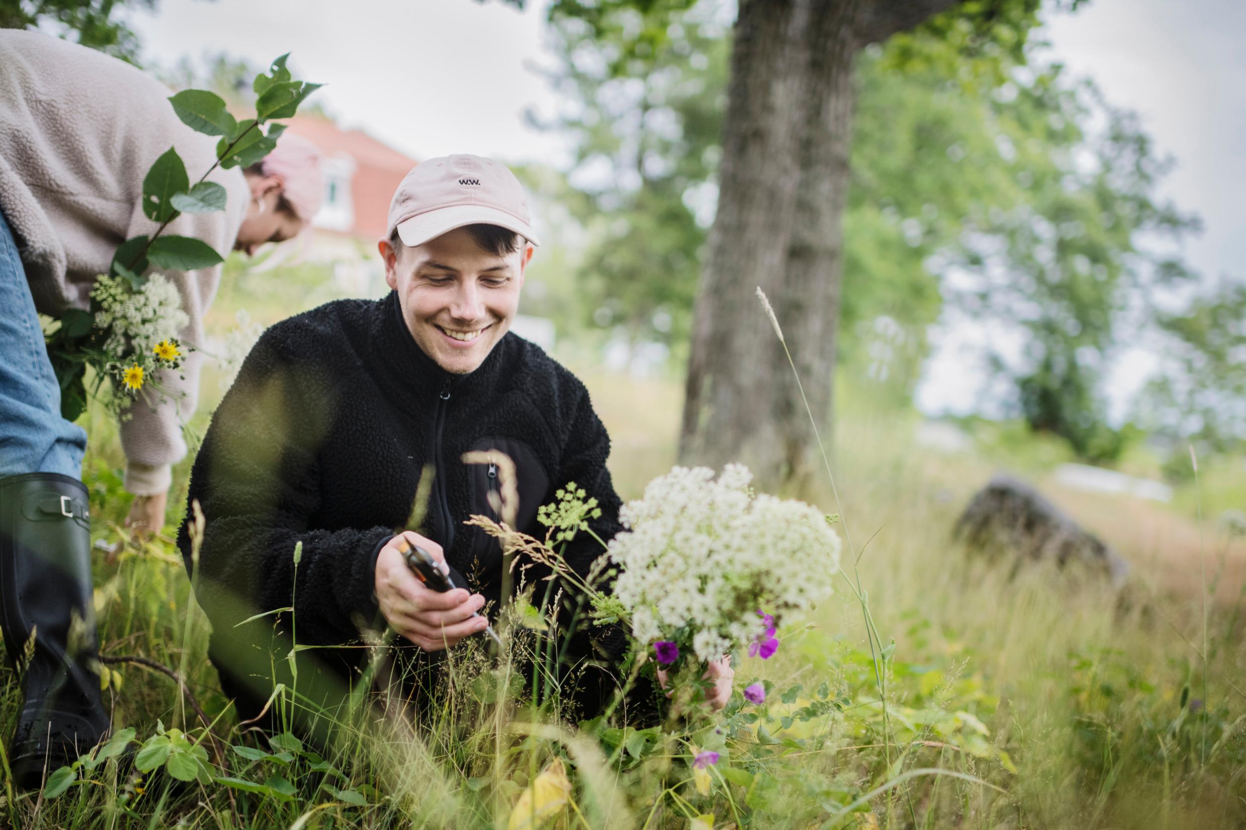 Мидсоммар: молодой человек собирает цветы