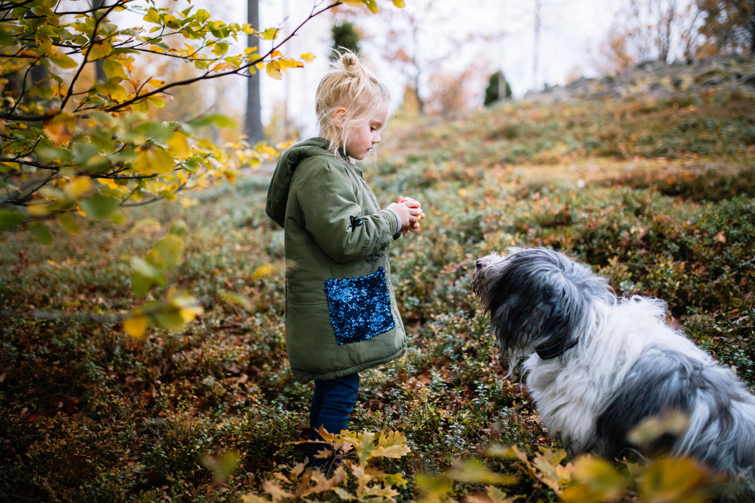 Девочка и собака в лесу